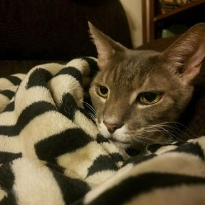 Meet your Posher, Liz